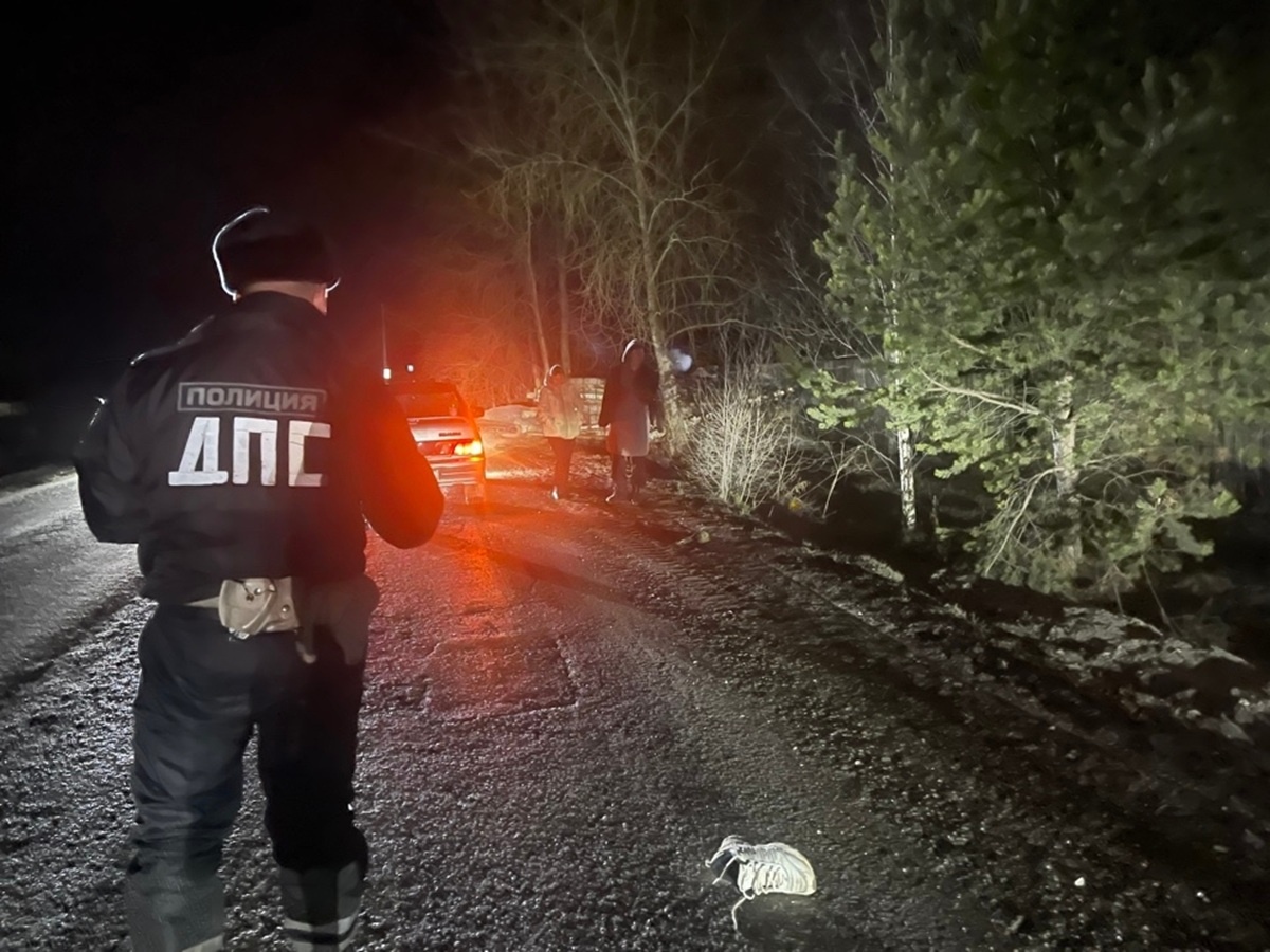 Фото: Госавтоинспекция Свердловской области  📷
