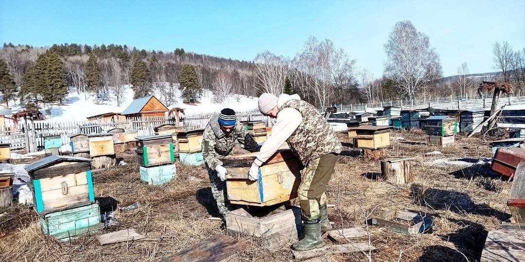 В Башкирии пчеловоды раньше обычного достали ульи из зимовника