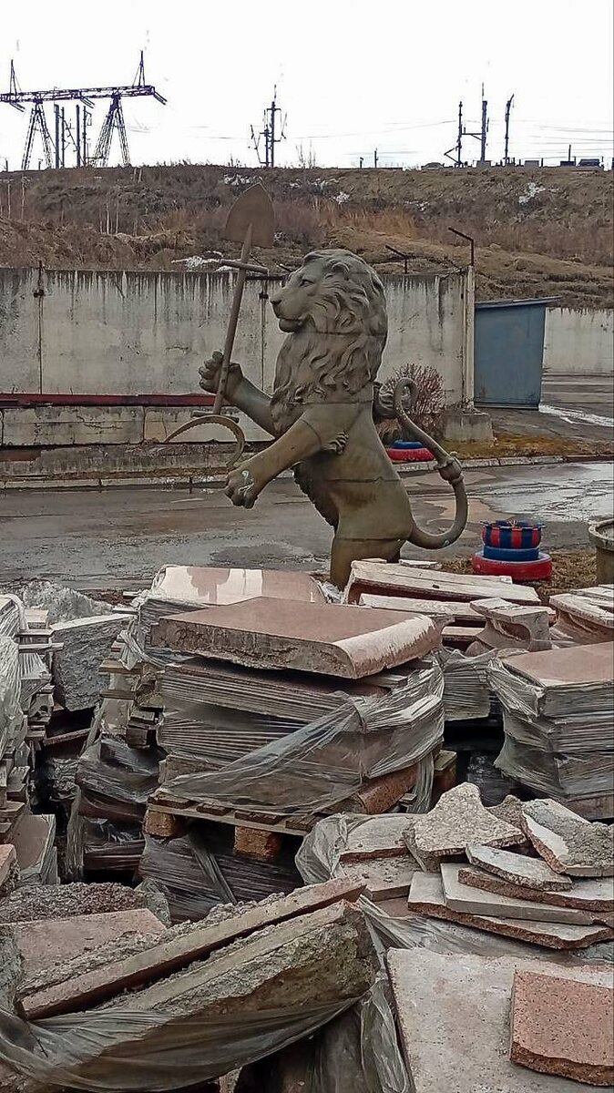 Фото: «Друзья Красноярска»