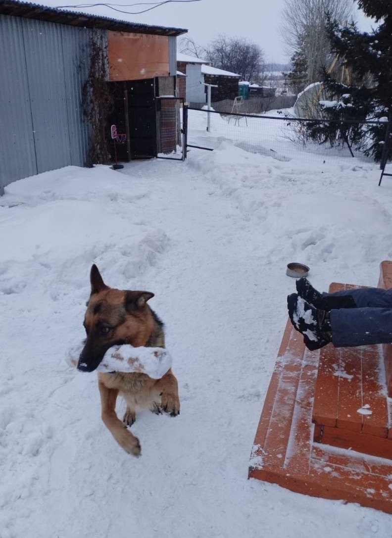 Баньку будем топить!