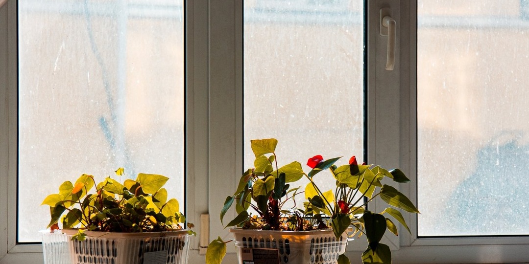 В Приамурье сирота потеряла жилье по вине органов опеки