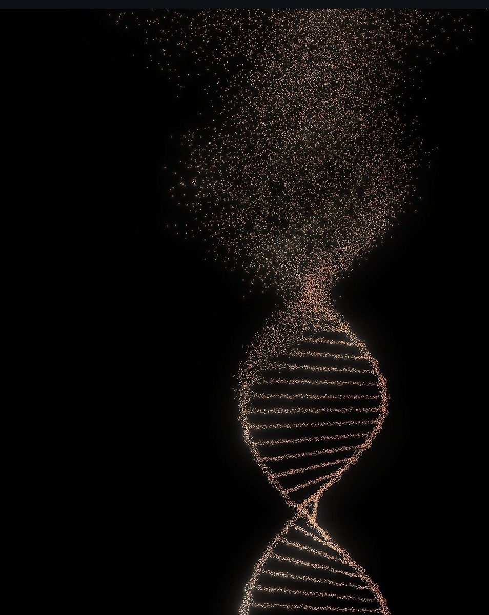 Источник: pinterest.com