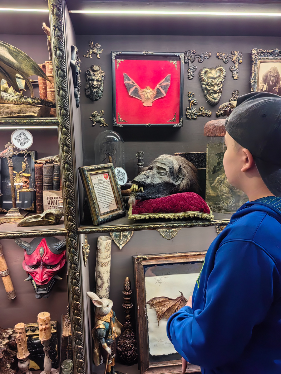 В Бестиарии кругом много-много полок, на них - ещё больше всяких интересных и загадочных штучек...