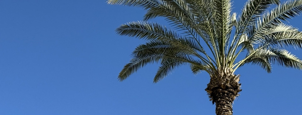    Автор фото: Иван Батырев/ТАСС