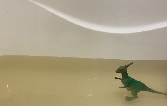    Фото: ИА "ОрелГрад" / Светлана Числова