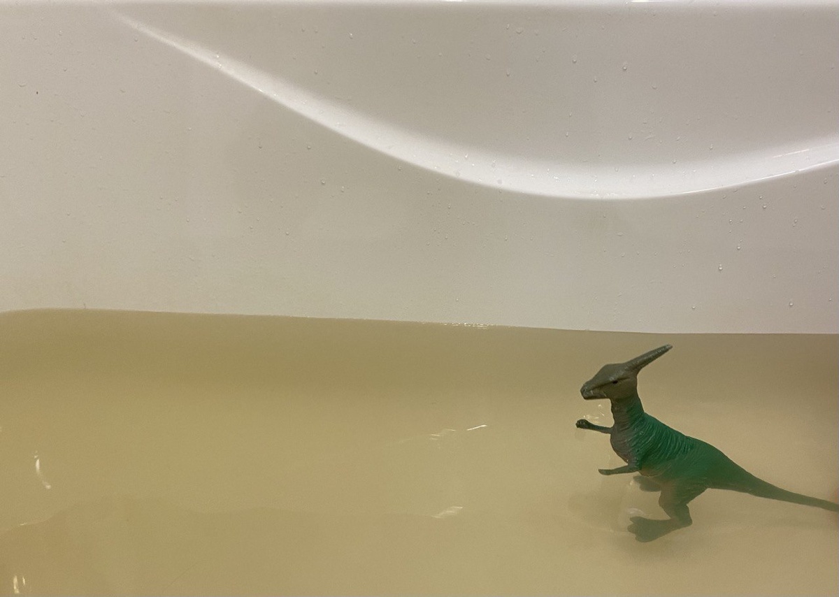    Фото: ИА “ОрелГрад” / Светлана Числова (иллюстративное)