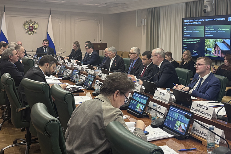    В Москве прошел круглый стол в Совете Федерации с замглавы минстроя РФ Никитой Стасишиным на тему обмана в сфере ИЖС. Фото: Елена Колебакина-Усманова