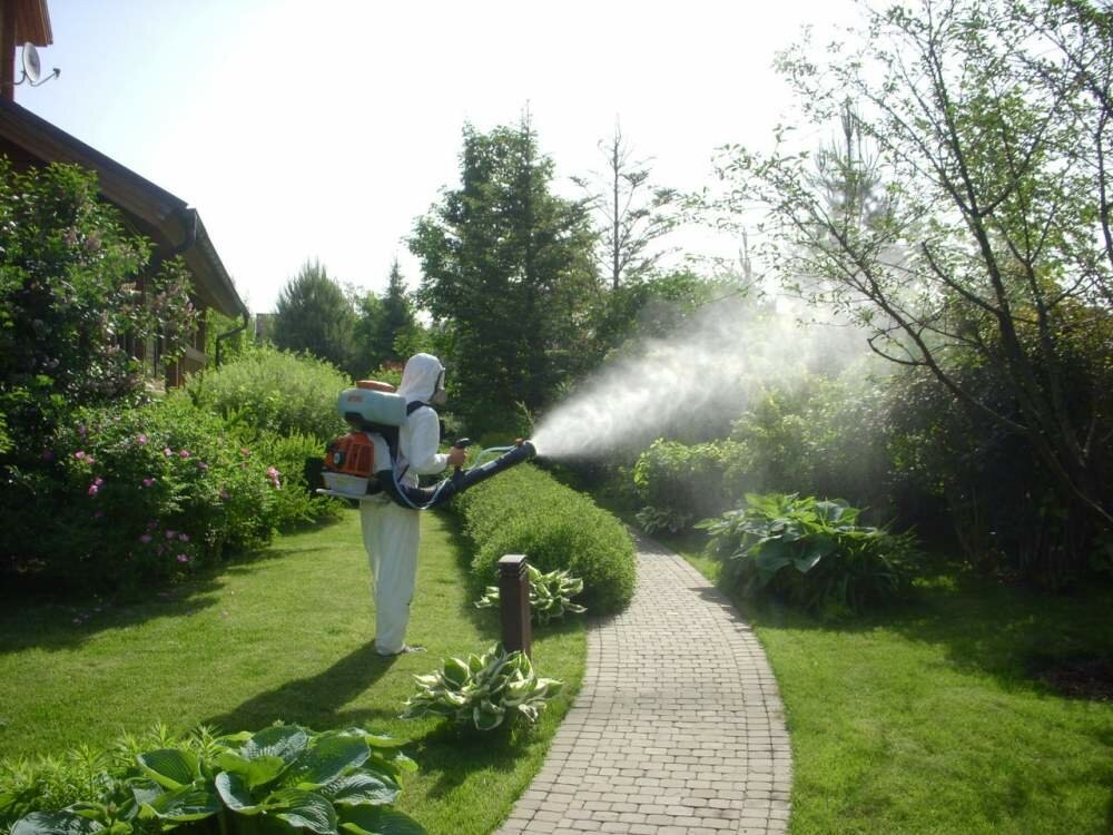 Уничтожение клещей