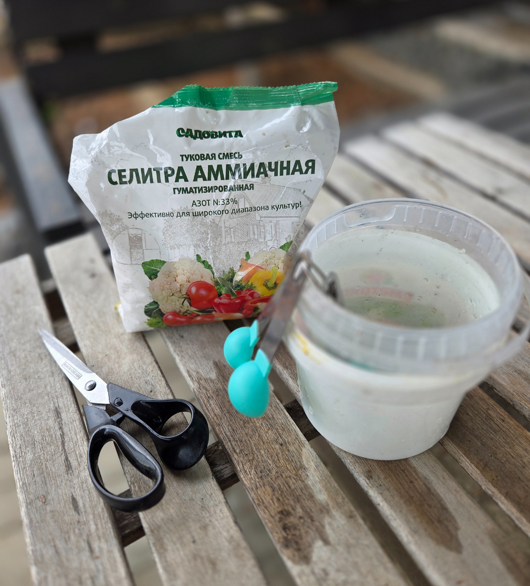 Фото: Зеленая леди, сад, семья и томатный сок 