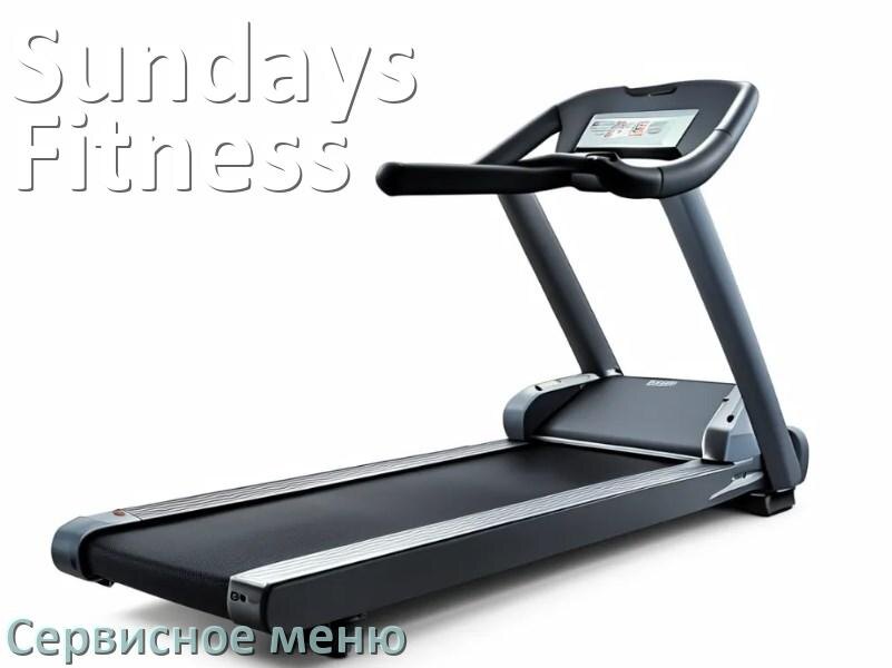 
Как зайти в сервисное меню беговой дорожки Sundays Fitness и открыть инженерный диагностический режим