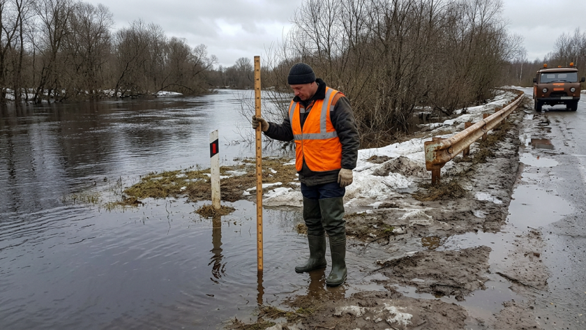    Фото ИИ youtvnews.ru