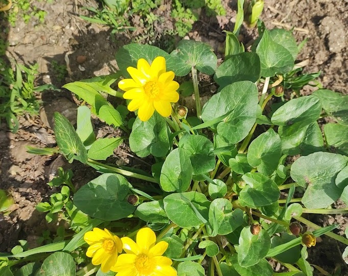 Как вернуть ощущения? Сделайте шаг, отойдите от дел, хотя бы на час. Для чего нам наблюдение за природой?