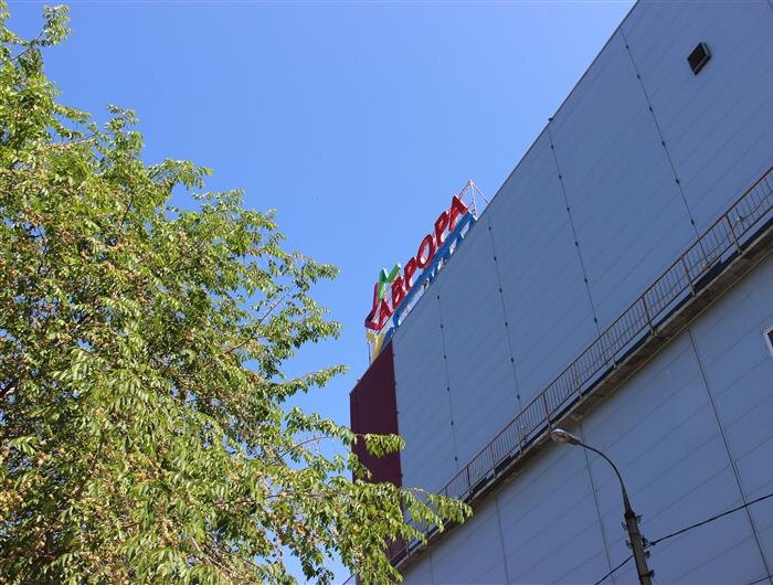    ФОТО: Ламзина Александра