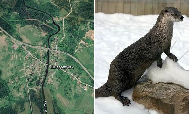 Село Выдропужск расположено на излучине реки Тверца в виде "выдры".