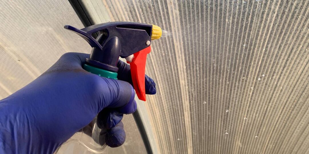 5 таблеток на полведра воды – чем обработать теплицу весной от кладоспориоза