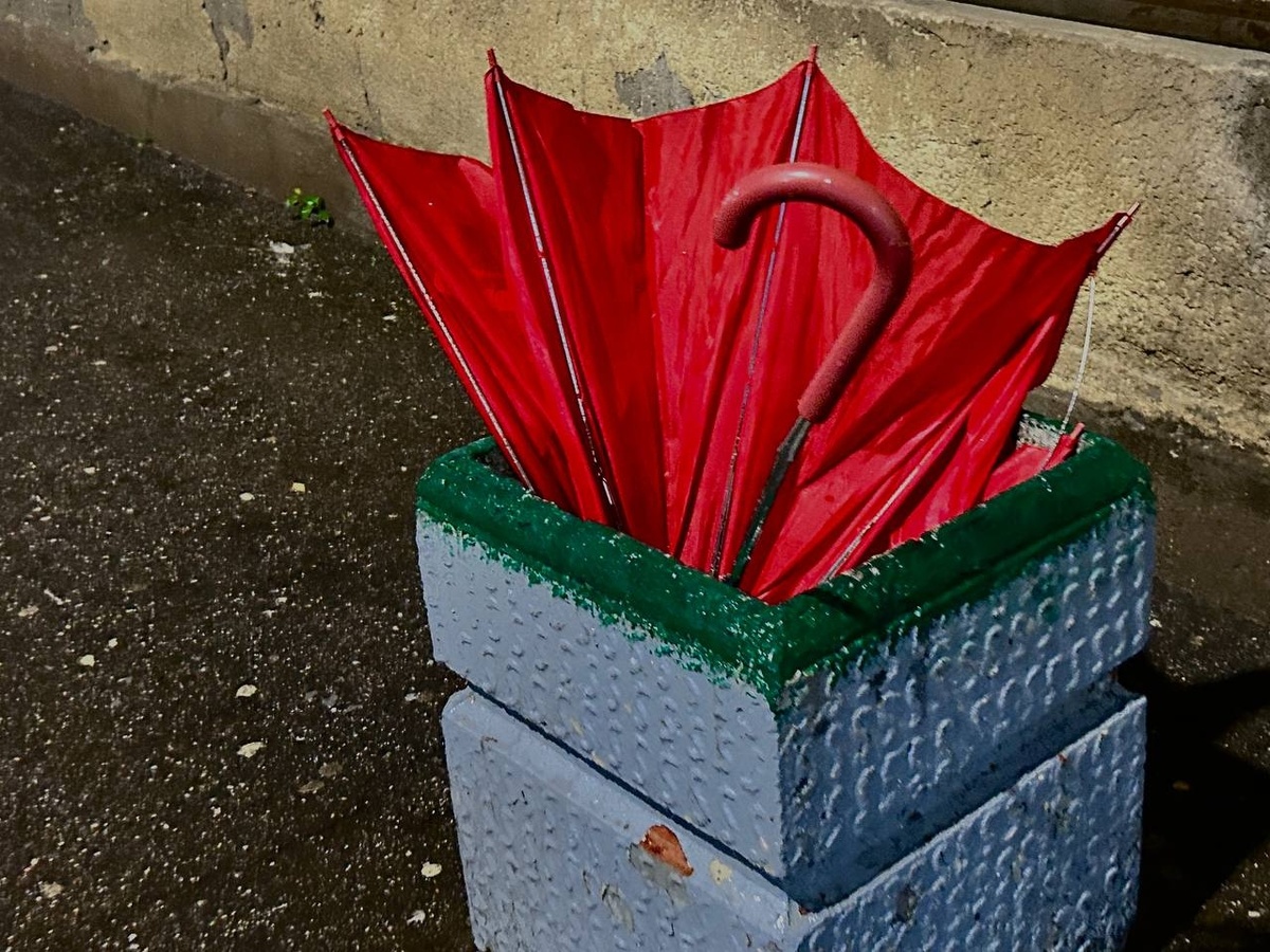    Фото: "Бриф24"