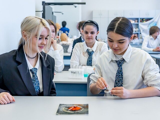    Фото: пресс-служба департамента образования и науки города Москвы