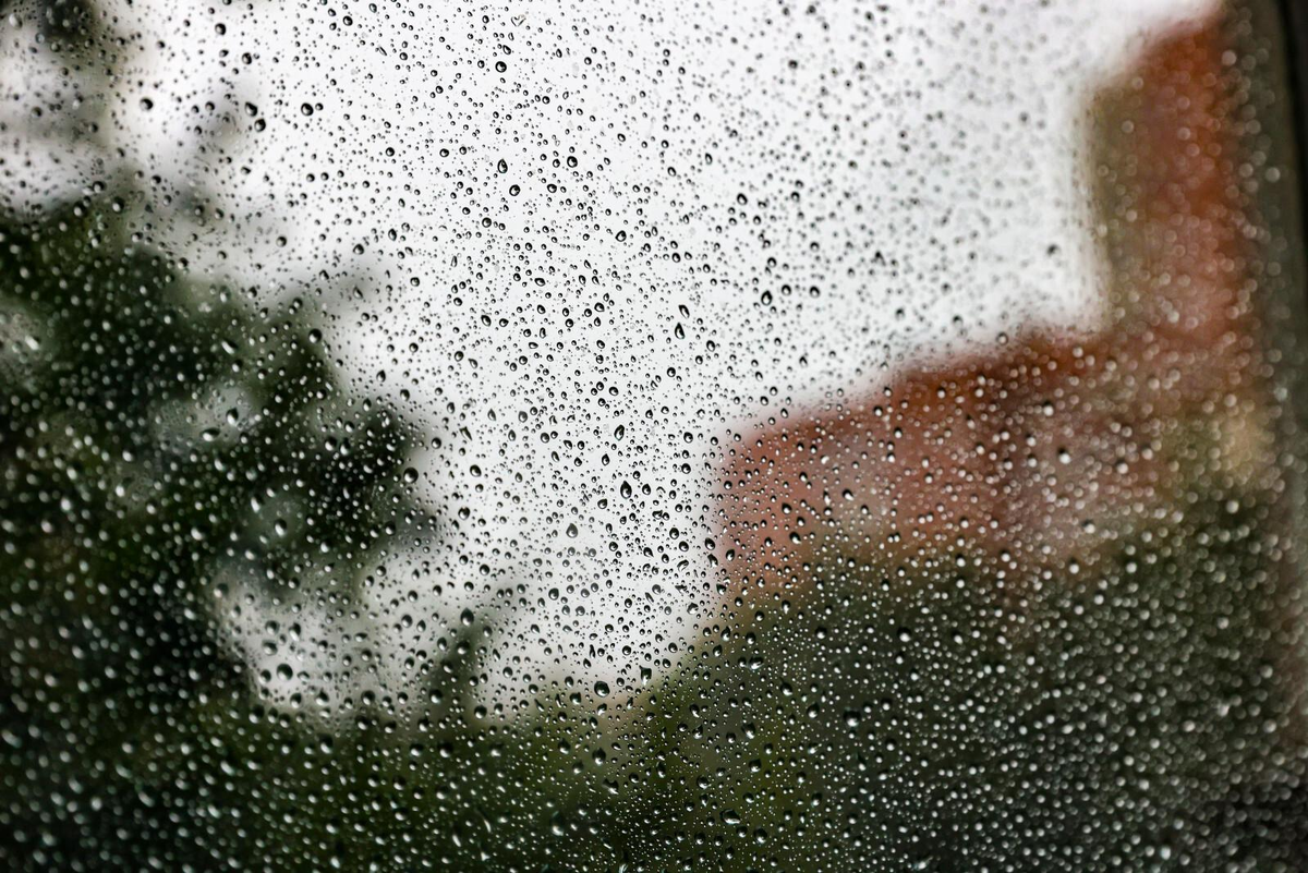 Дмитрий Фуфаев / «Петербургский дневник»