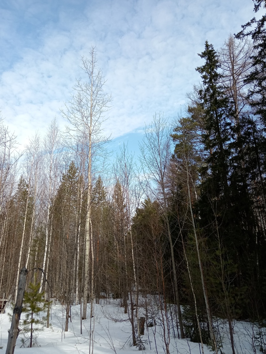 29.03.26 снега еще по колено