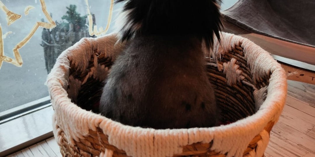 ‼️‼️‼️‼️Внимание