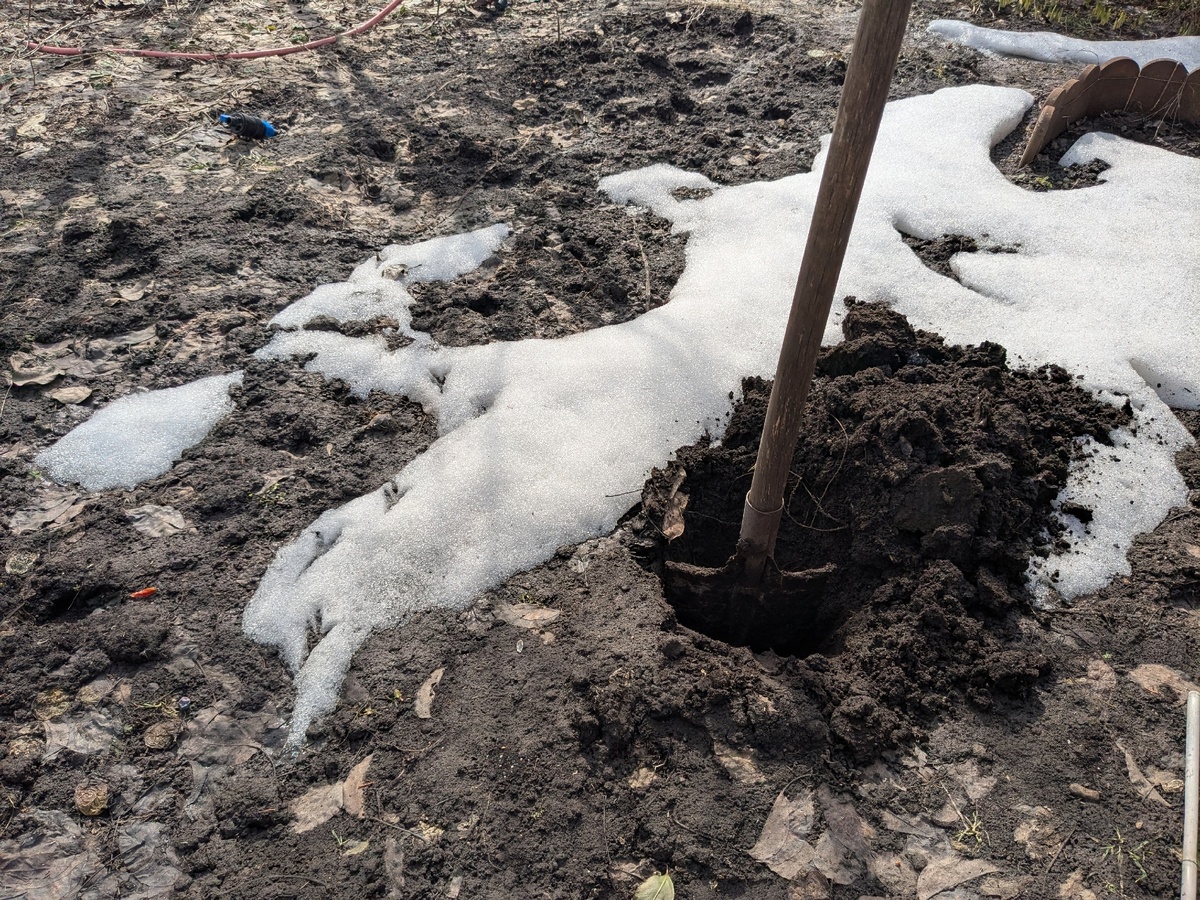 Остатки метровых сугробов