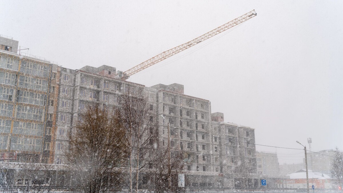    Фото: Сергей Зубков / «Ямал-Медиа»