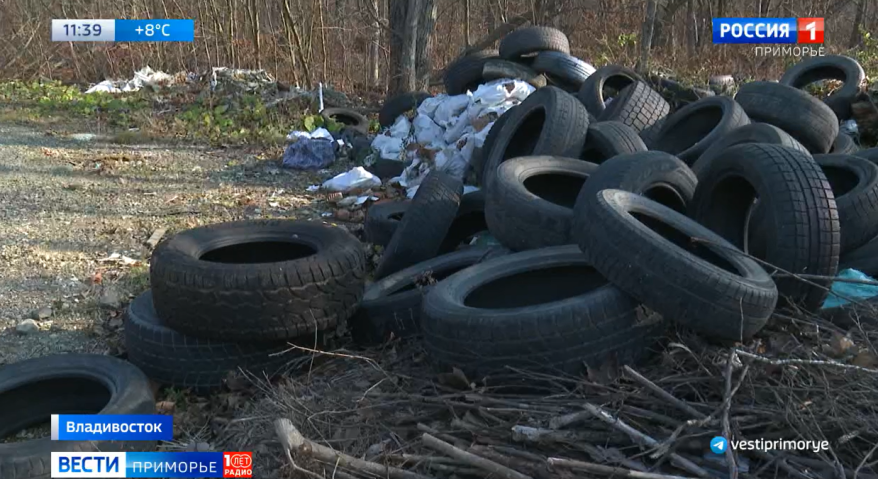    Источник фото: