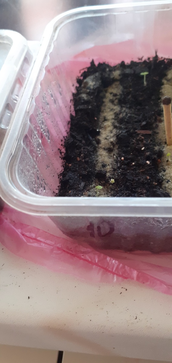 ЦИФРА "10" НА КОНТЕЙНЕРЕ-ЭТО МОЗАИКА.