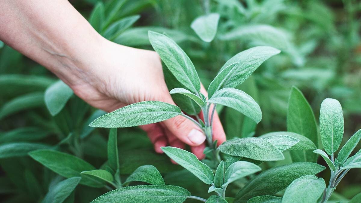    Фото: Shutterstock