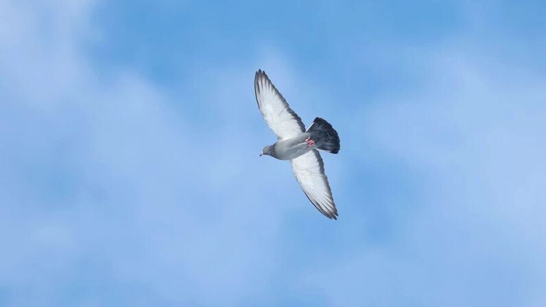    Фото: Андрей Ткачев / «Ямал-Медиа»