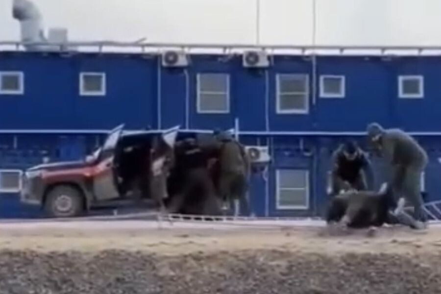 скриншот видео