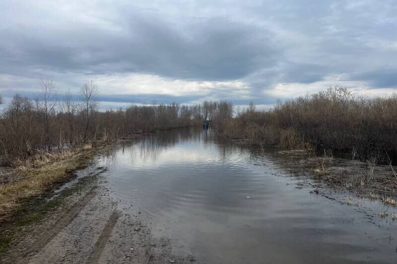 В Курганской области закрыли для транспорта дорогу в Каргапольском округе