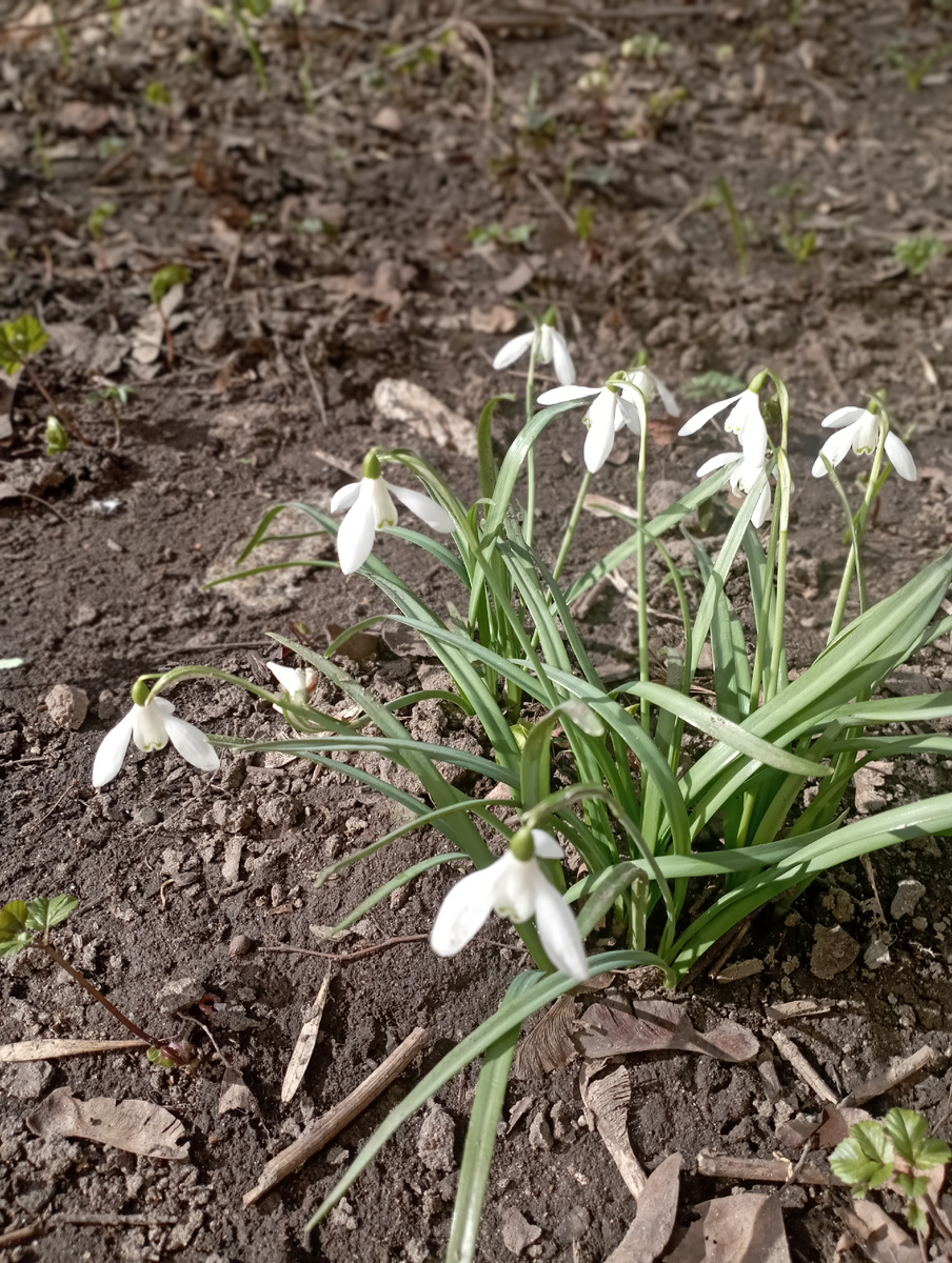 Рядом с домом... 