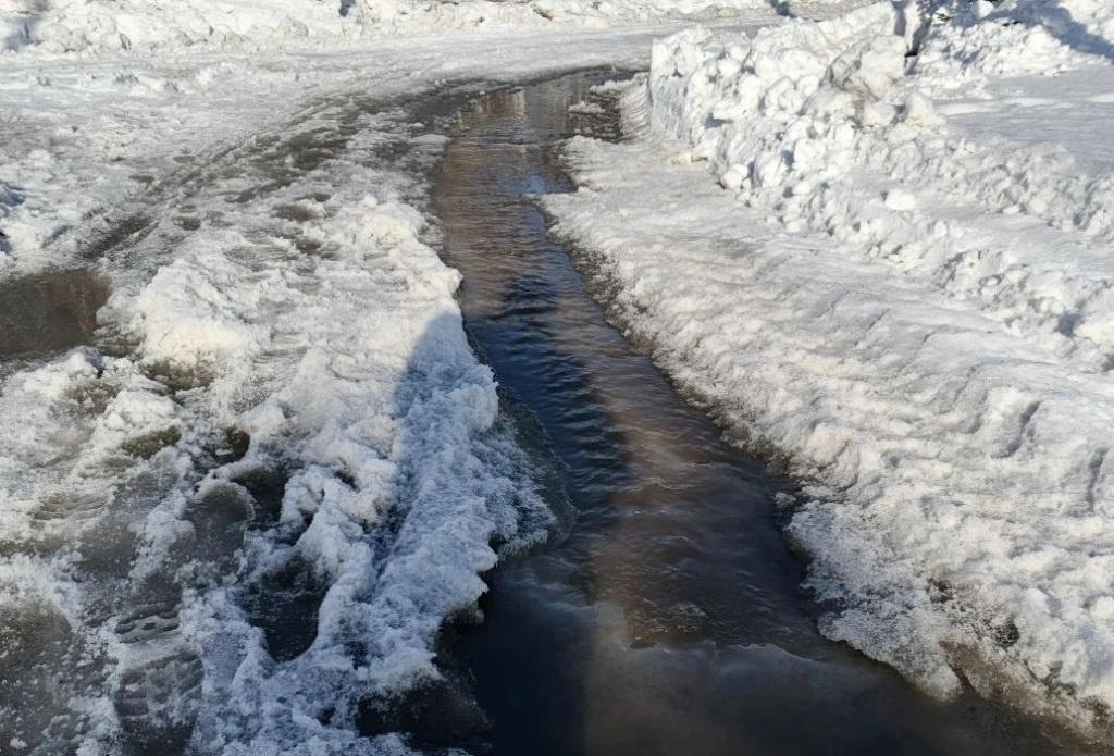    Фото Анны Сентяковой