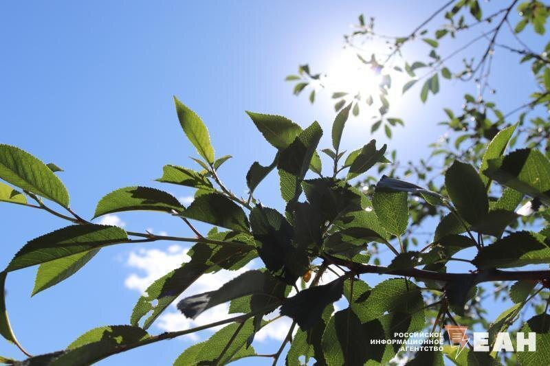    ЕАН. Солнечная погода