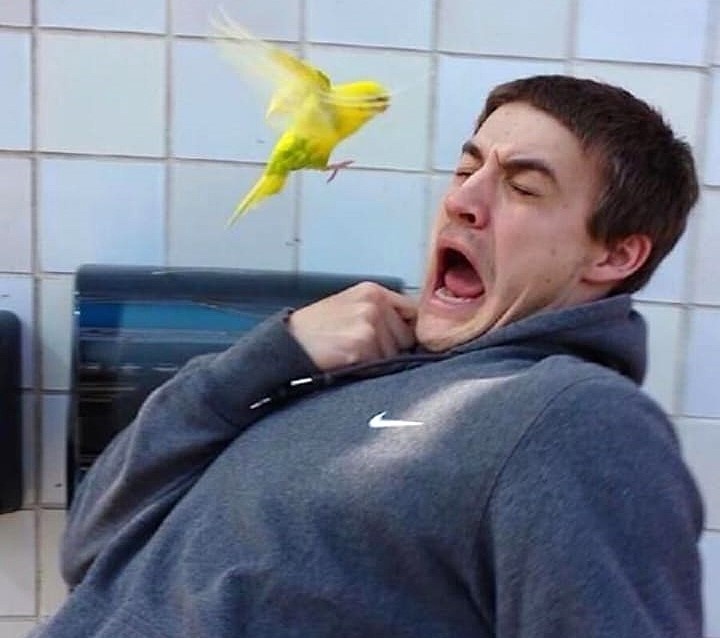 А мы иногда чувствуем - назло!