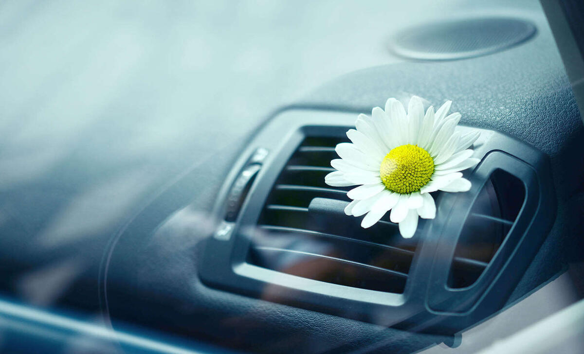 Фото Яндекс Картинки