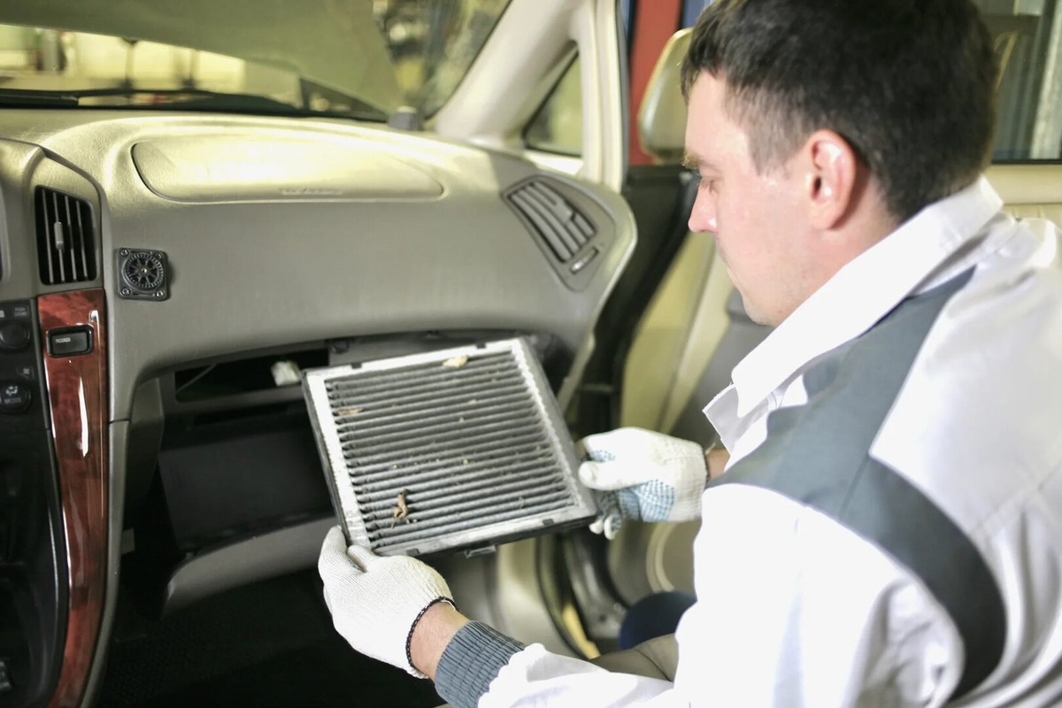 Фото Яндекс Картинки