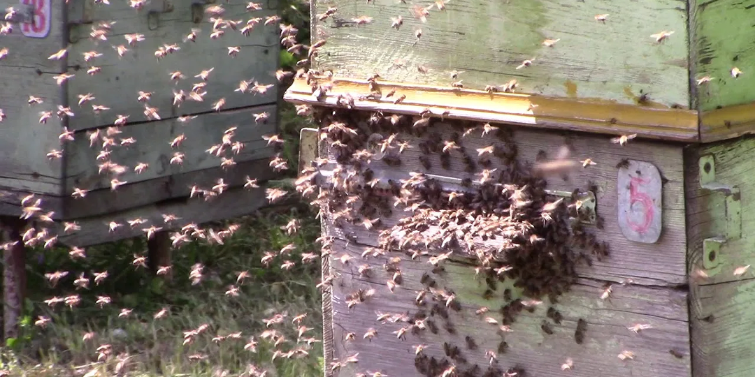 Очистительный облет на что обращаем внимание