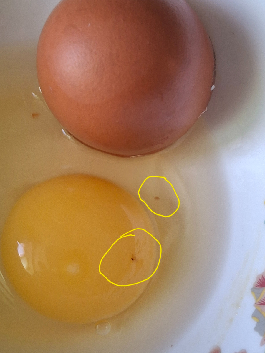 Фотография авторская 