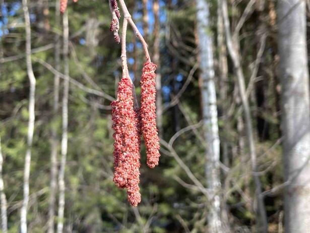 Фото: предоставлено пресс-службой национального парка «Таганай»