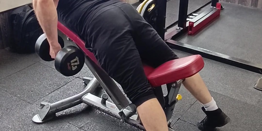 Тяга двух гантелей лежа грудью на скамье.