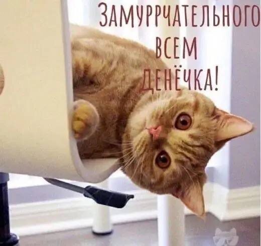 Доброе утречко, мои хорошие