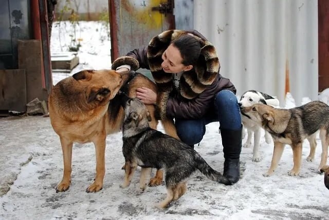    Фото: из личного архива Ольги Стрельцовой