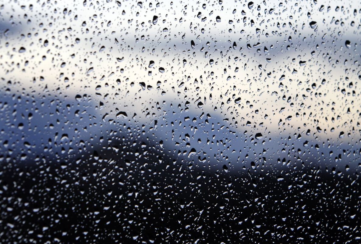    Фото: Игорь Филонов