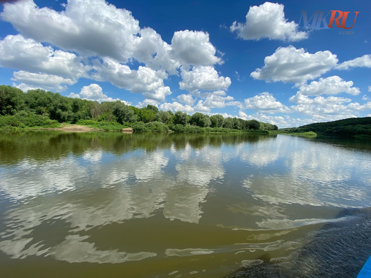    Фото: "МК в Калуге"