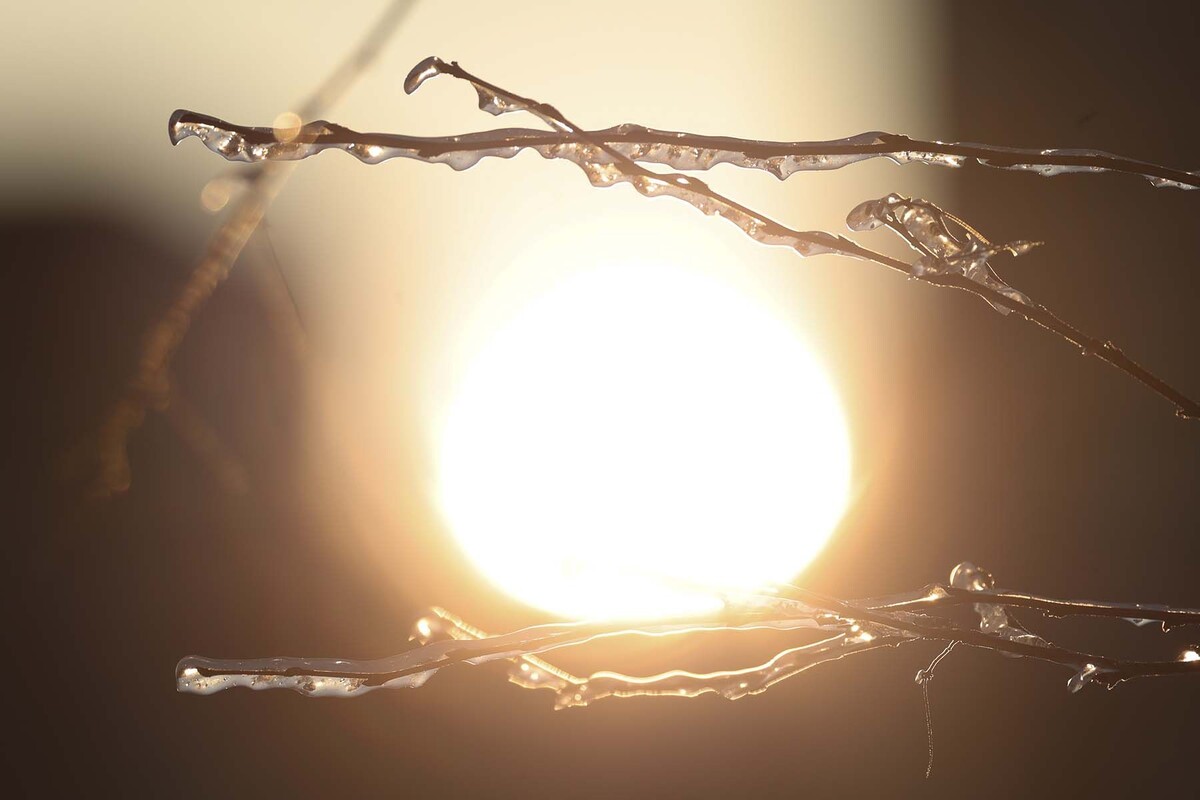  © Павел Орловский, Times.by