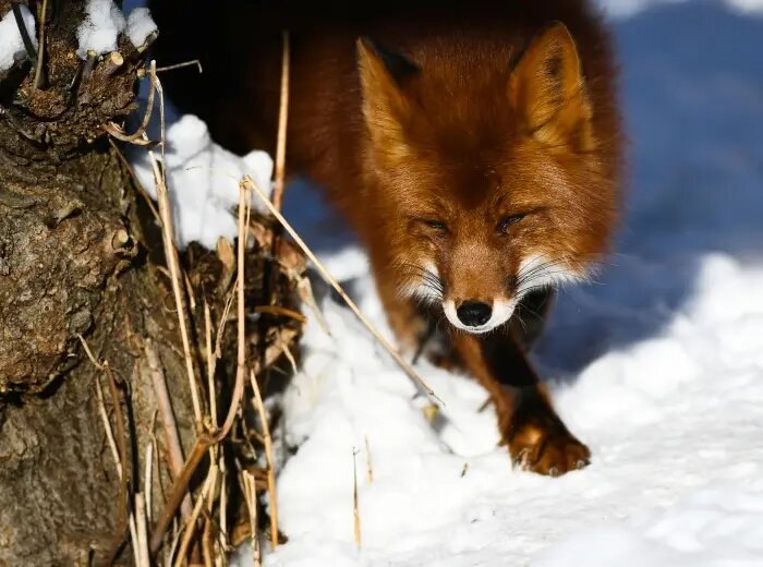     © РИА Новости. Александр Вильф