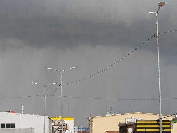    Фото: Юрий Серебренников/BFM Кубань