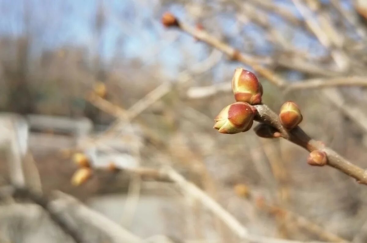    В России 29 марта зафиксировали десятки температурных рекордов